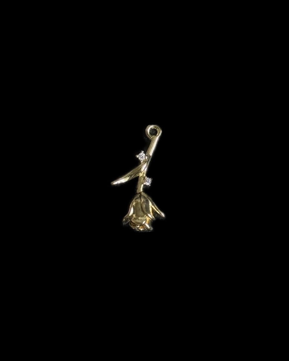Gold Charms