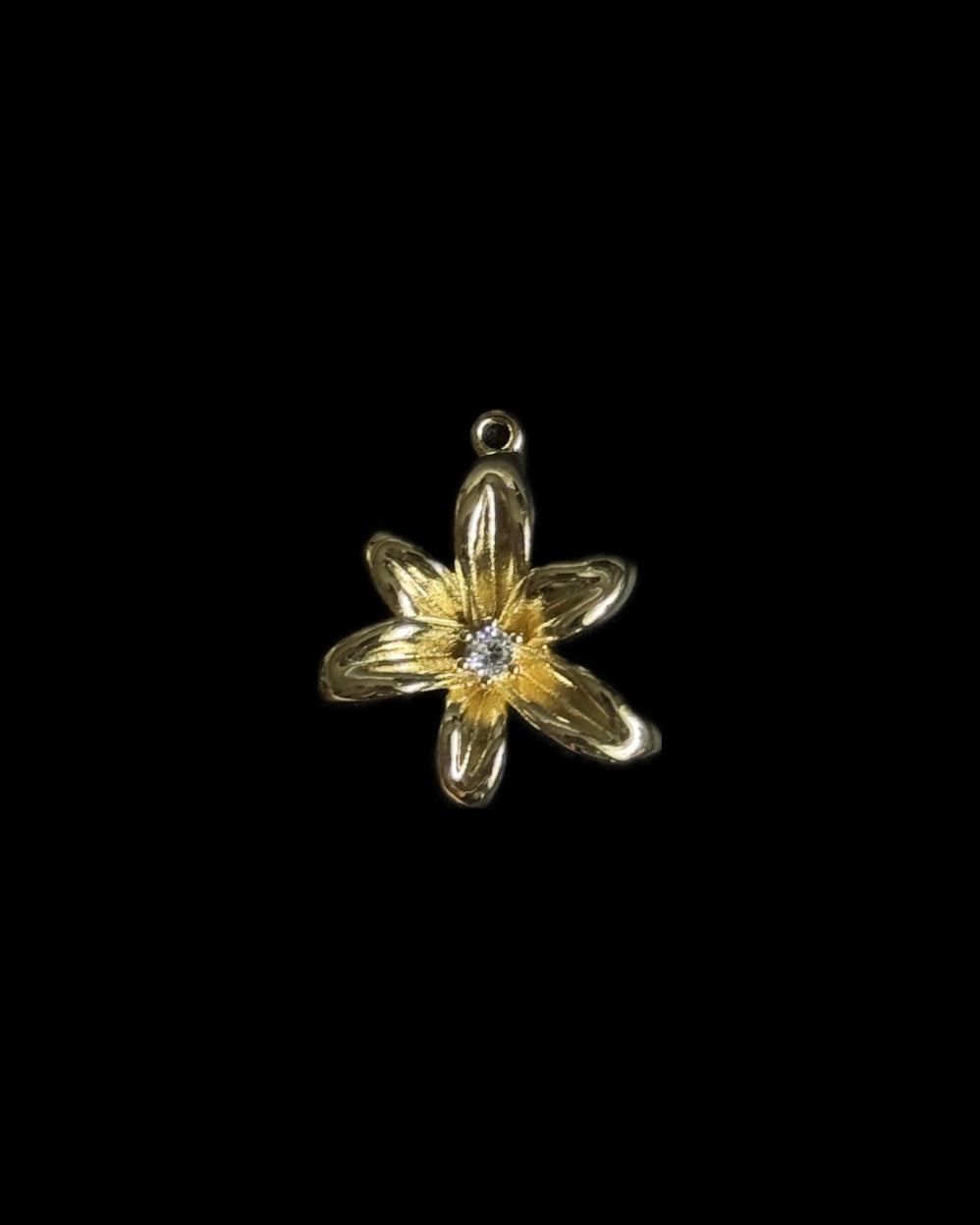 Gold Charms