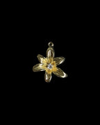 Gold Charms