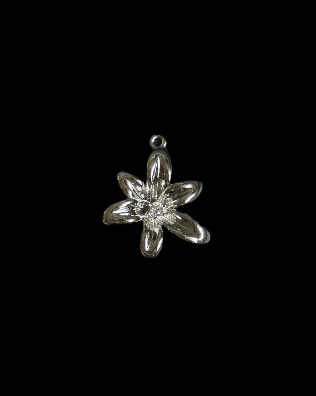 Silver Charms