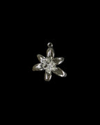 Silver Charms