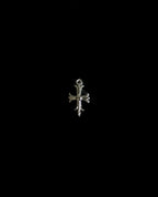 Silver Charms