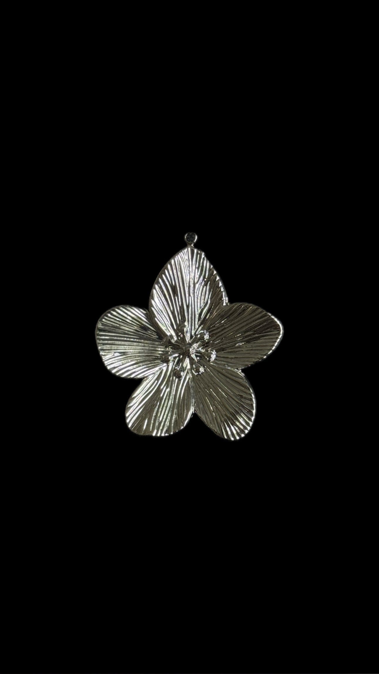 Silver Charms