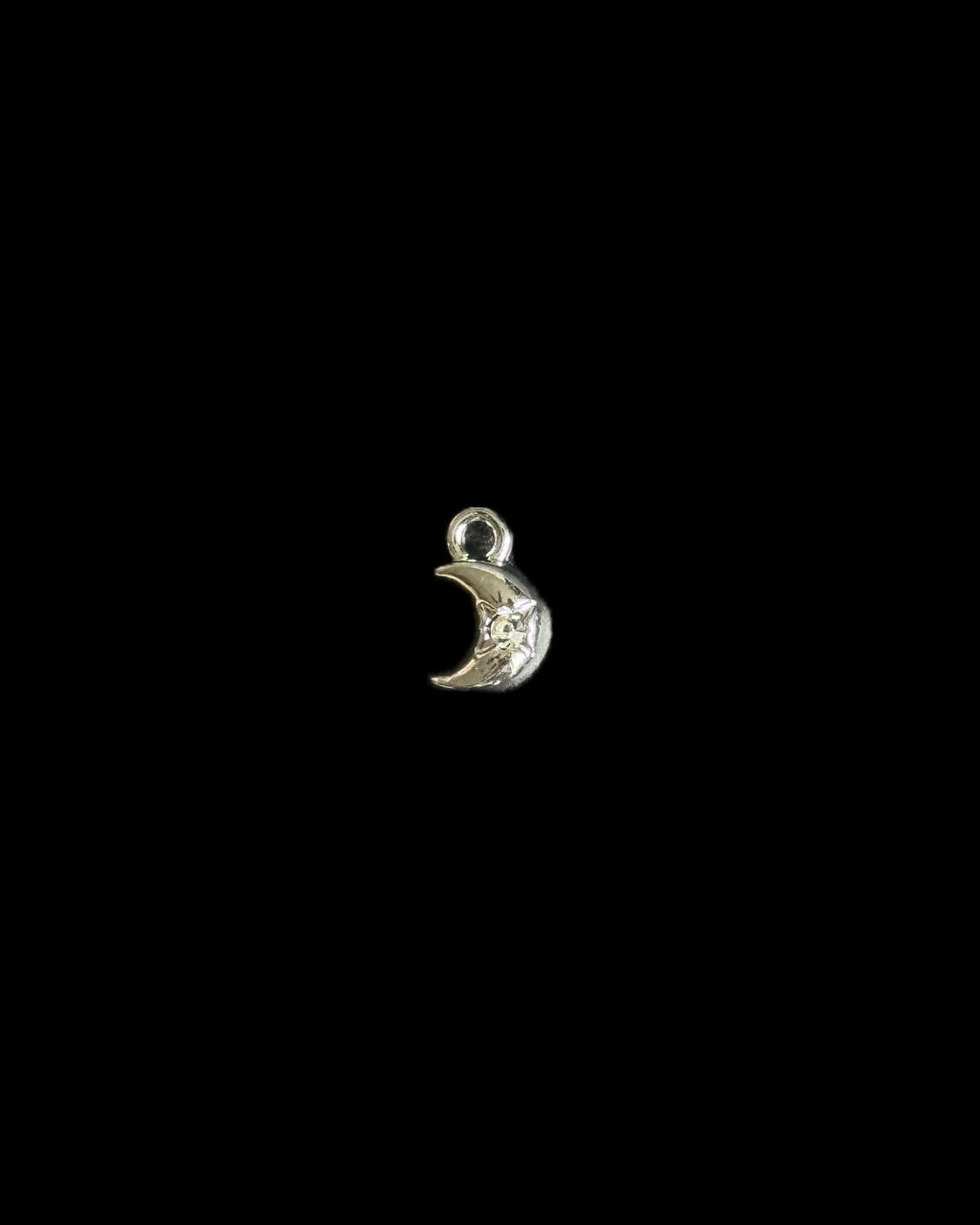 Silver Charms