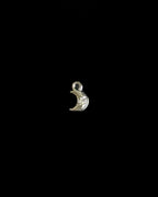 Silver Charms