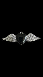 Silver Charms