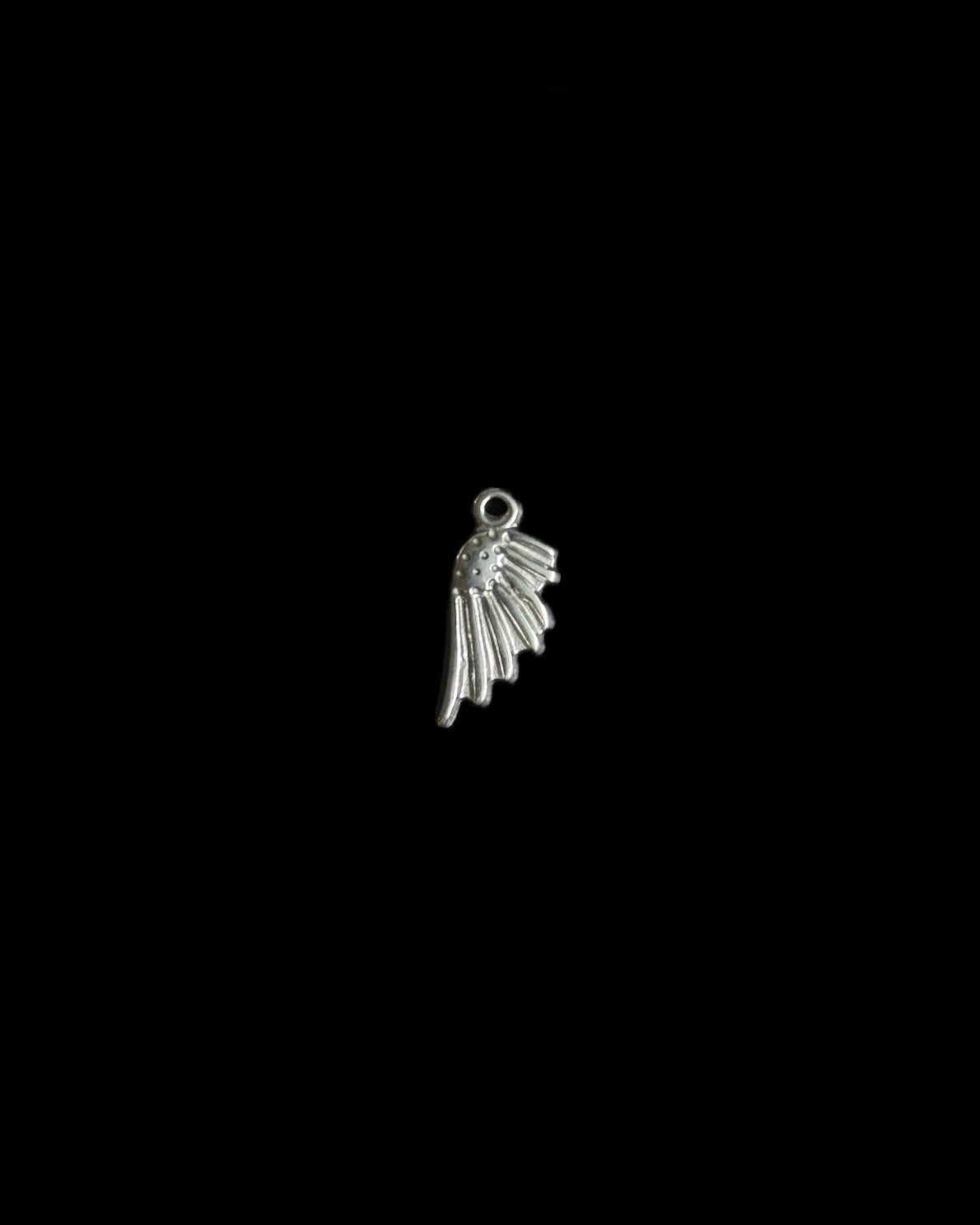 Silver Charms
